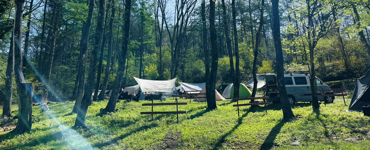 蓼科高原の森のイメージ